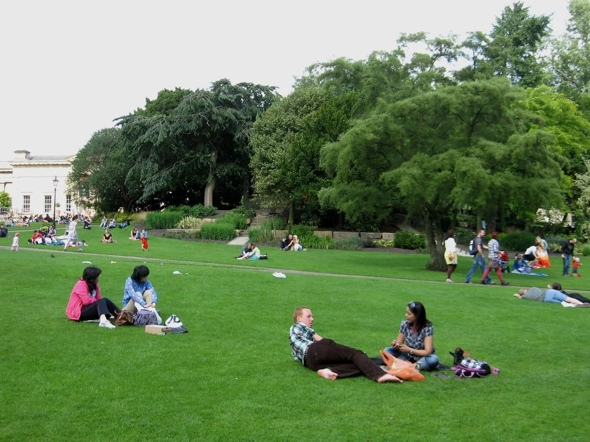 Museum gardens.webp