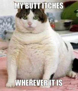 my-butt-itches-wherever-it-is-thumb.webp