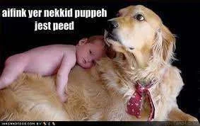 Naked puppy just peed.webp