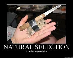 natural selection.webp