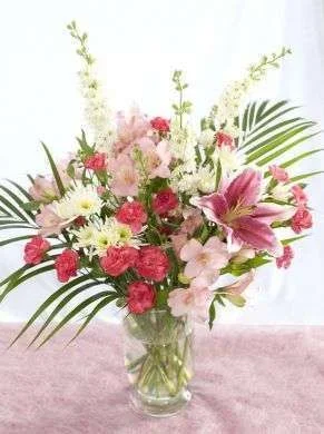nc0107pi.webp