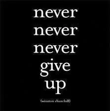 nevergiveup.webp