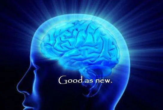 new brain.webp