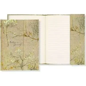 New journal 2a.webp