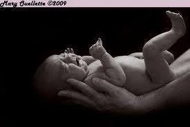 Newborn.webp