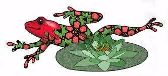 nice frog pic.webp