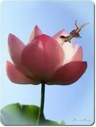 Nicolette_3.webp