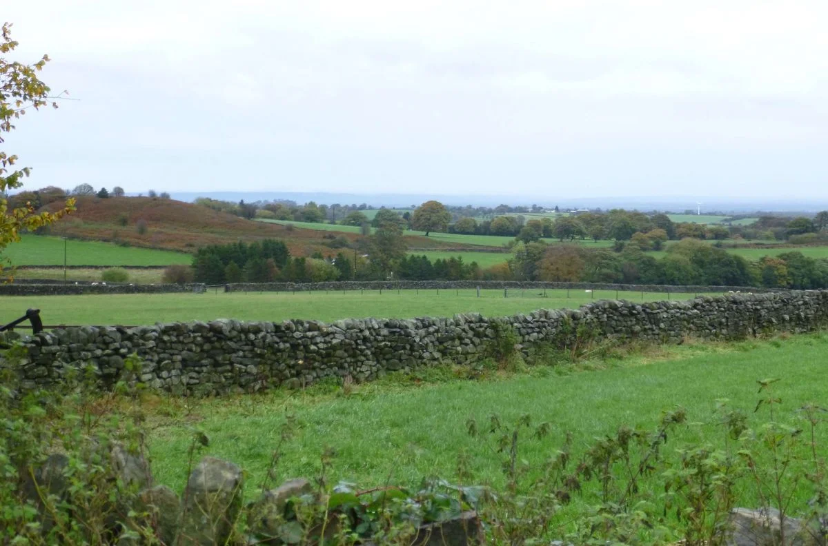 Nidderdale 4.webp