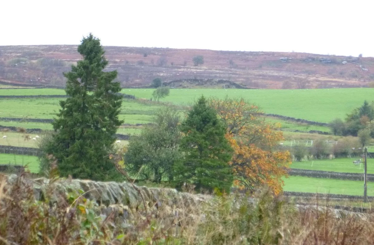 Nidderdale..webp