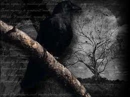 Night bird.webp