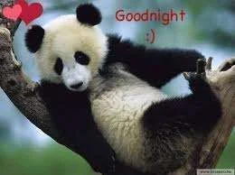 Night panda.webp