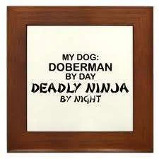 ninja doberman 2.webp