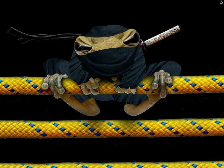 Ninja frog1.webp