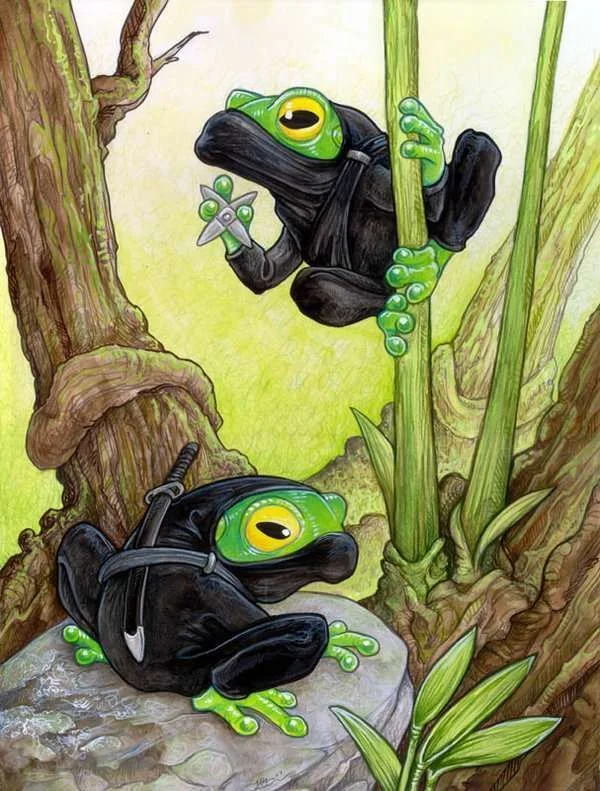 Ninja_Frogs_by_ursulav.webp