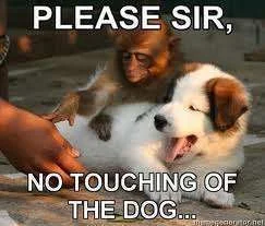 No touching the dog.webp
