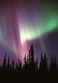 norther lights2.webp