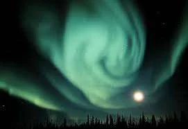 northern lights.webp