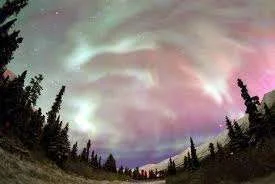 northern lights3.webp