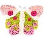 novelty-butterfly-thumb.webp