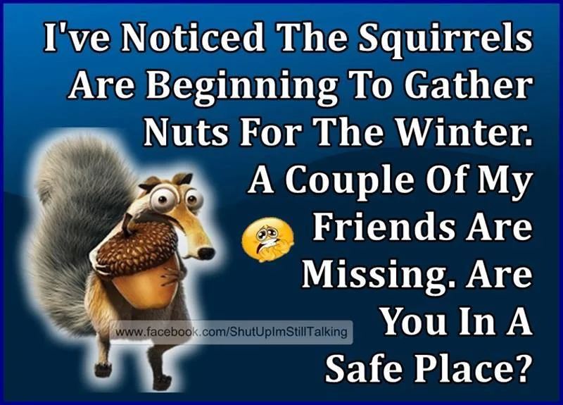 nuts.webp