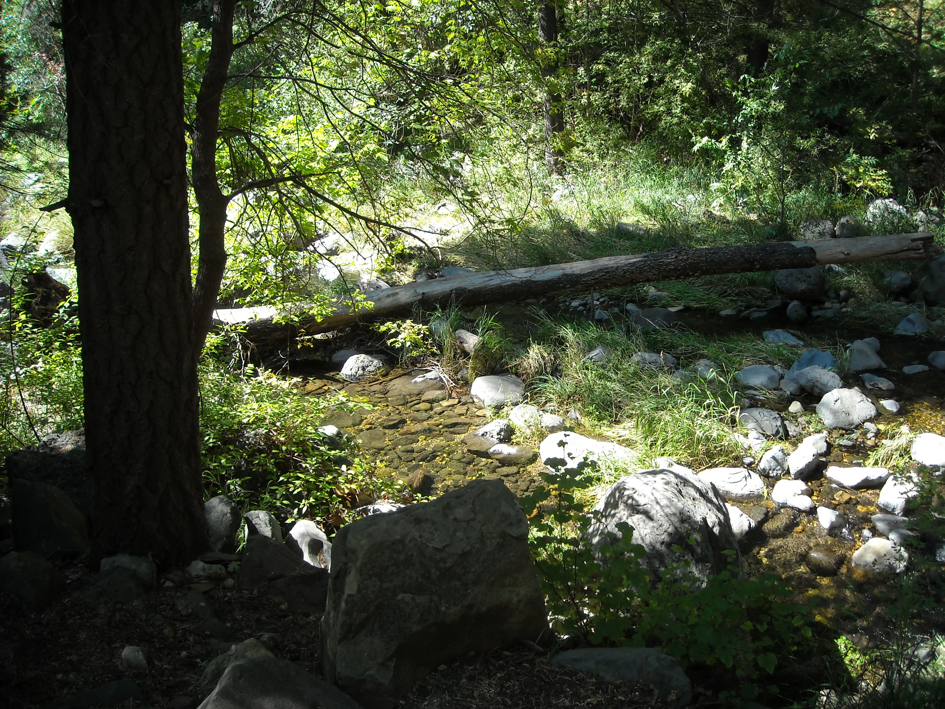 Oak Creek Red Rocks 003.webp
