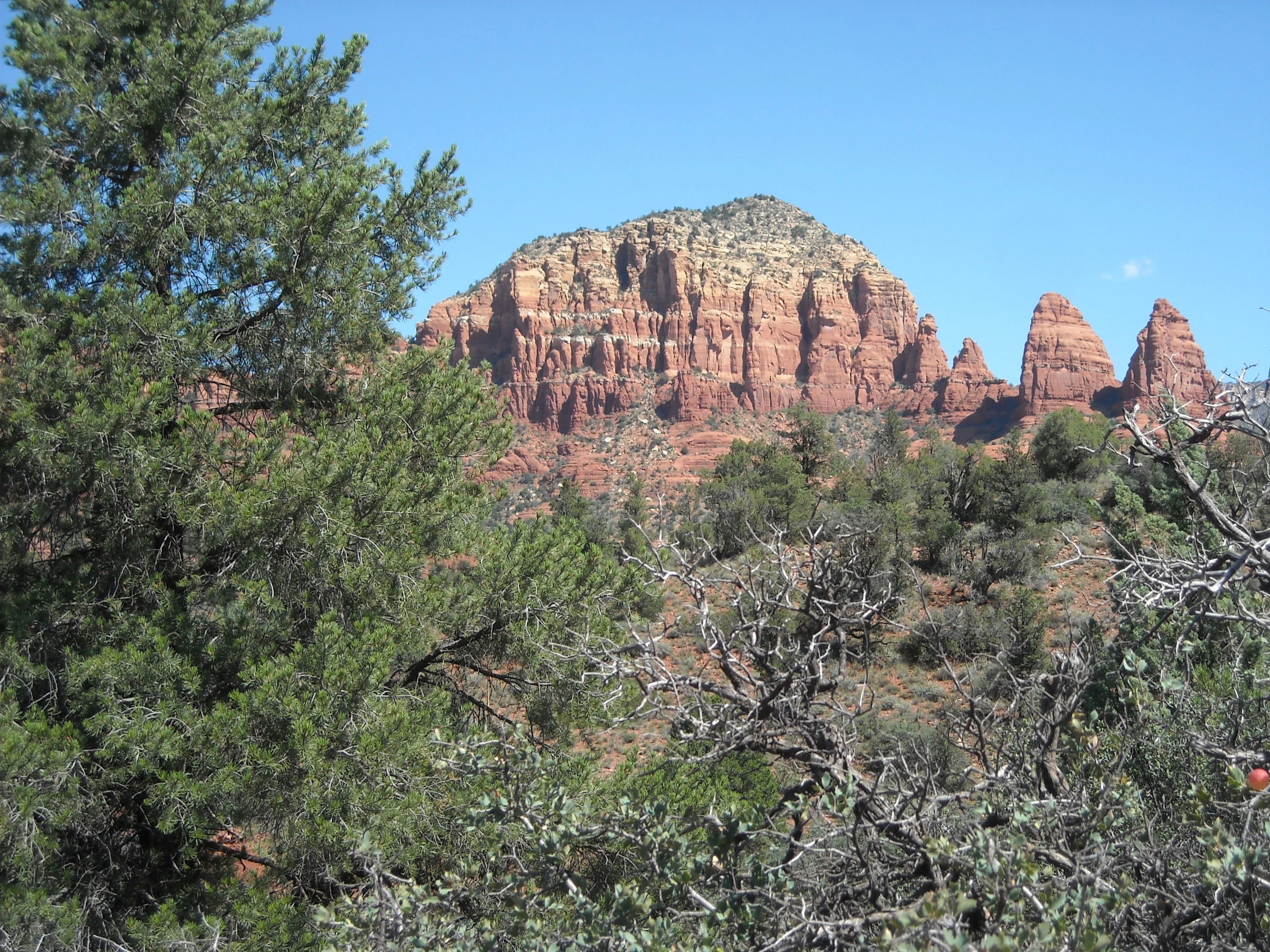 Oak Creek Red Rocks 009.webp