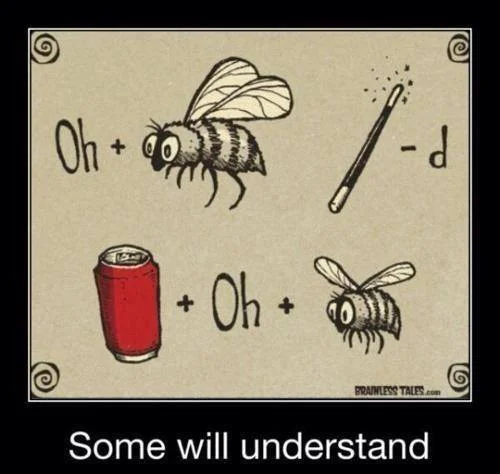 OB.webp