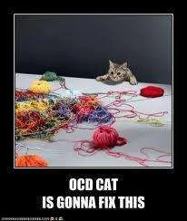 ocdcat.webp