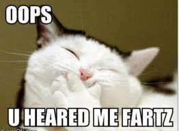 OOps fart.webp