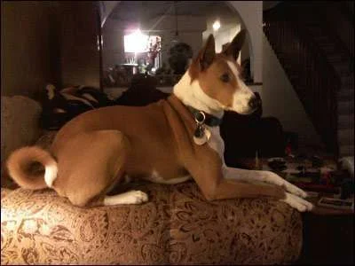 Opa on sofa.webp