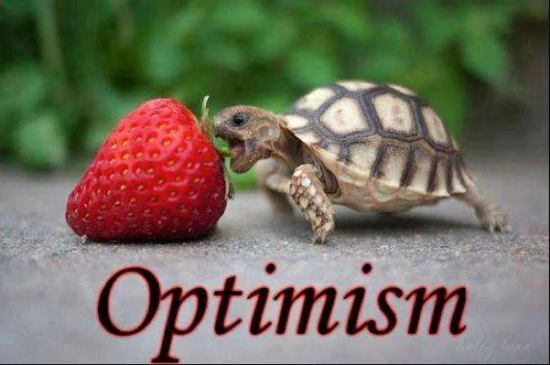 optimism.webp
