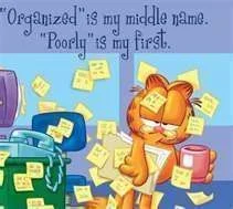 Organized Garfield.webp
