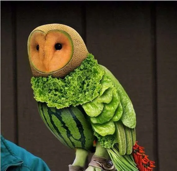 owl 1.webp