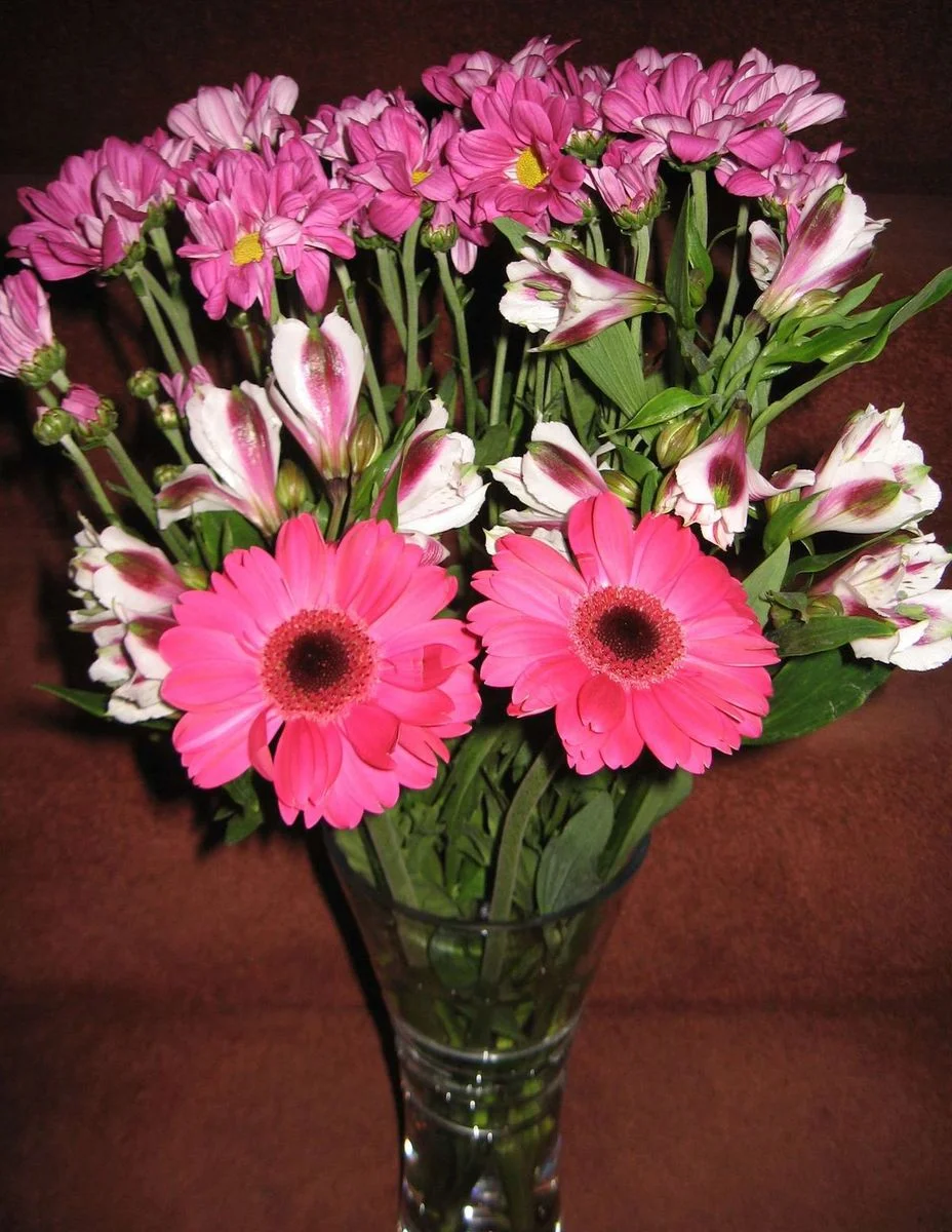 Own bought flowers Oct 12.webp
