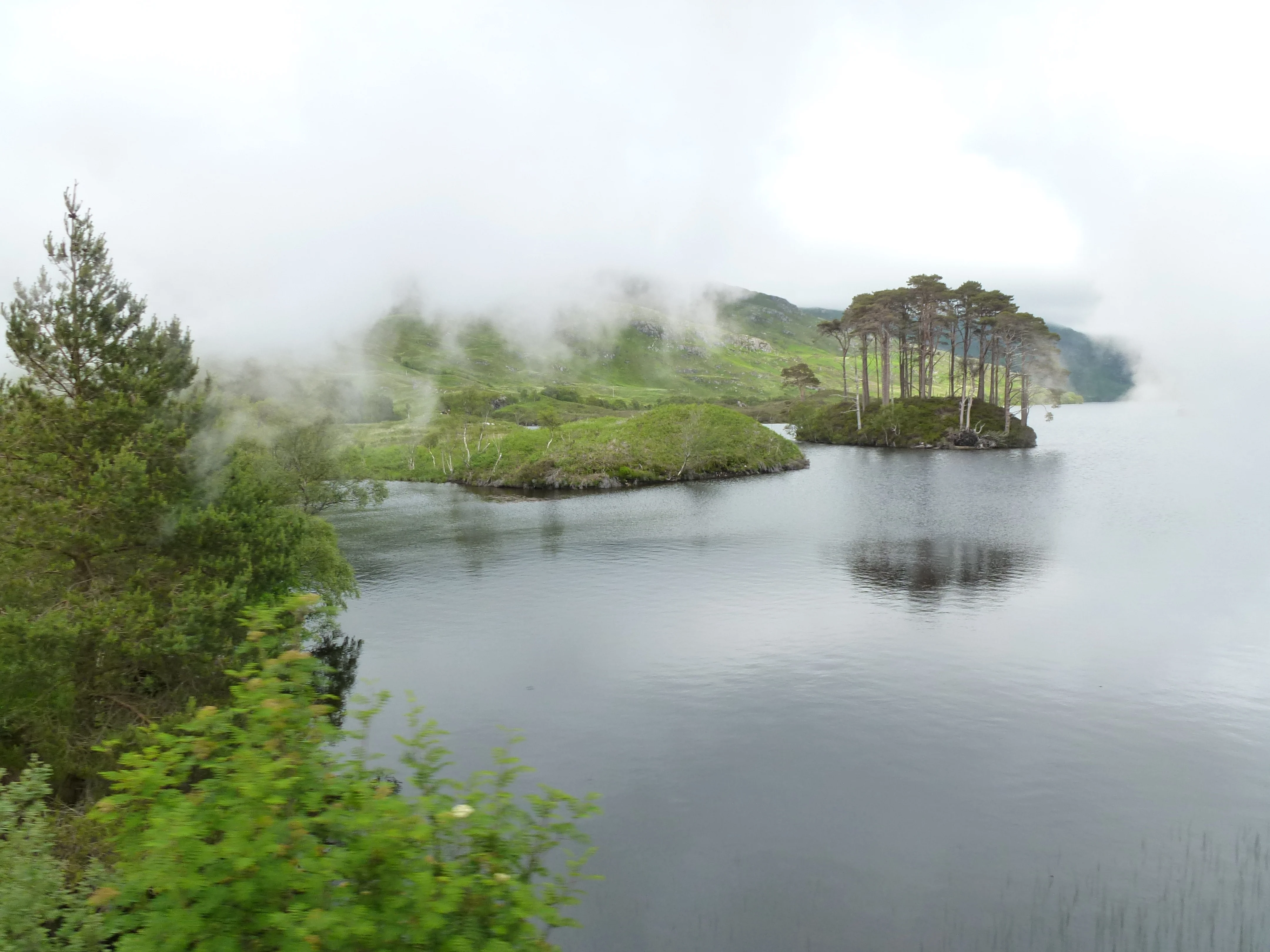 P1040293.webp