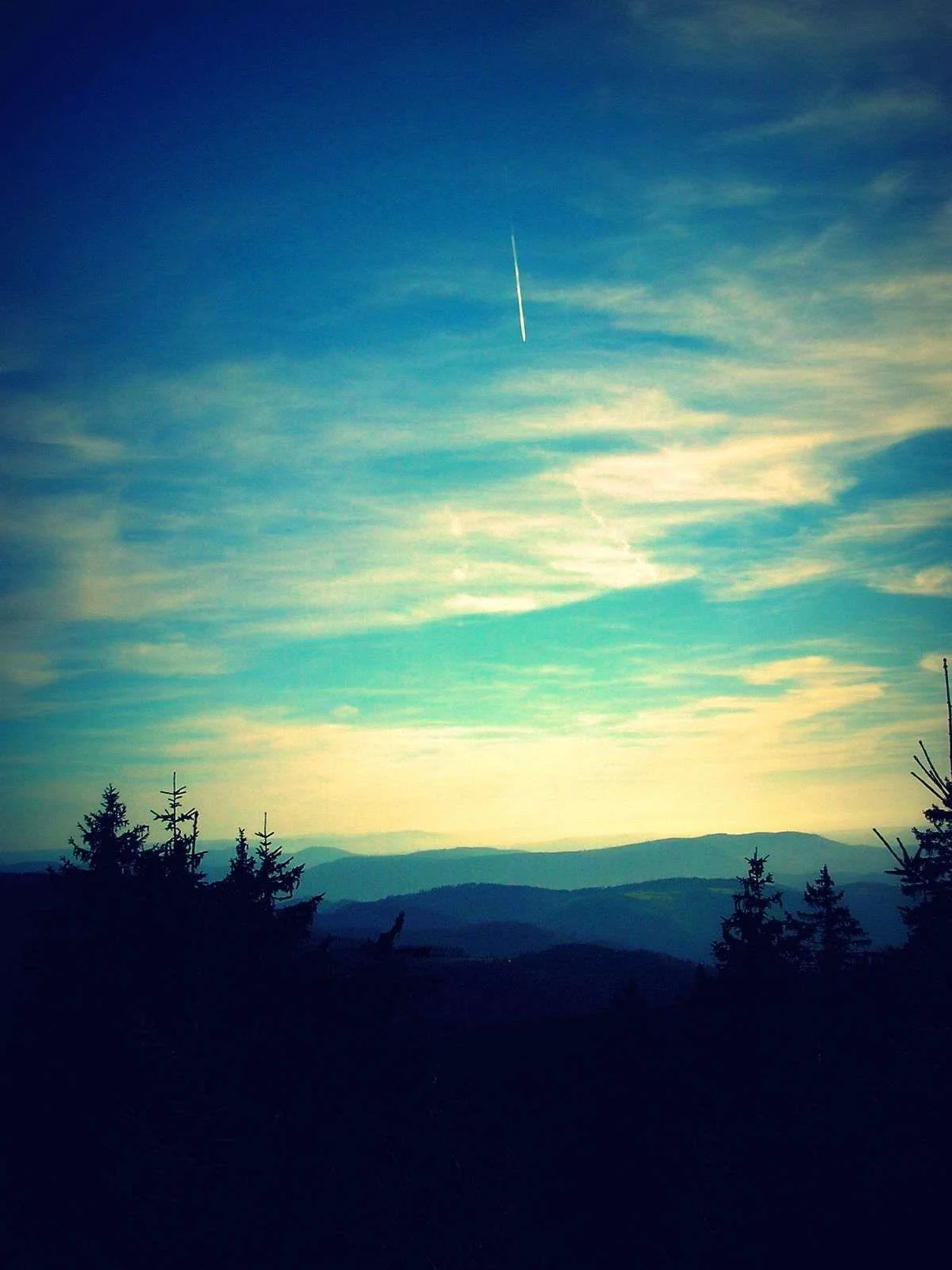 PA080051.webp
