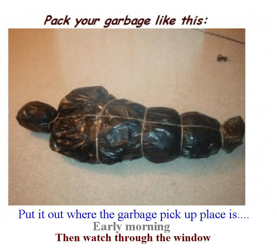 Pack Your Garbage.webp