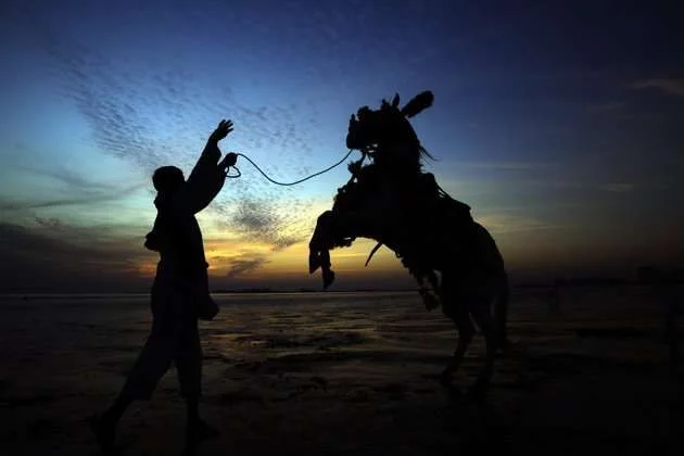 pakistani boy and horse.webp