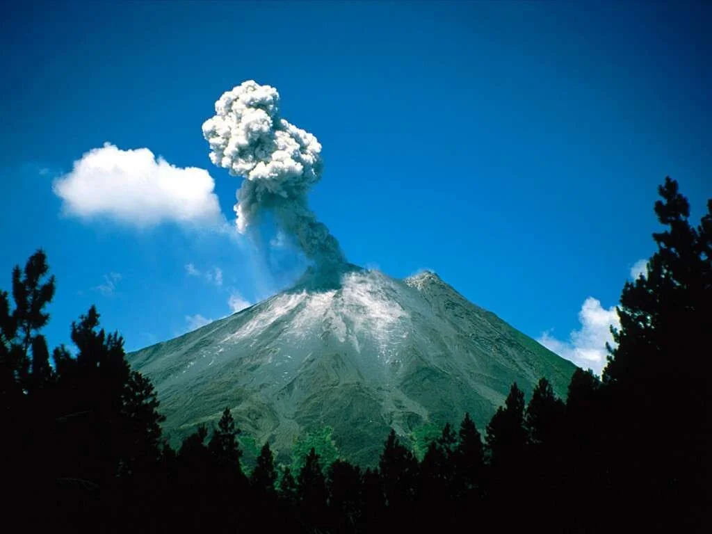 paloverde-national-park.webp