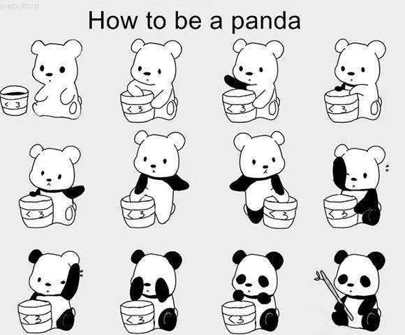 panda.webp