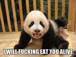 Panda with PTSD.webp