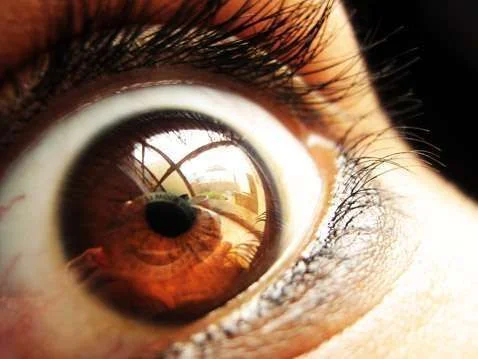 paranoid-eye.webp