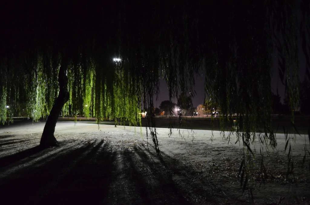 Park Spot.webp