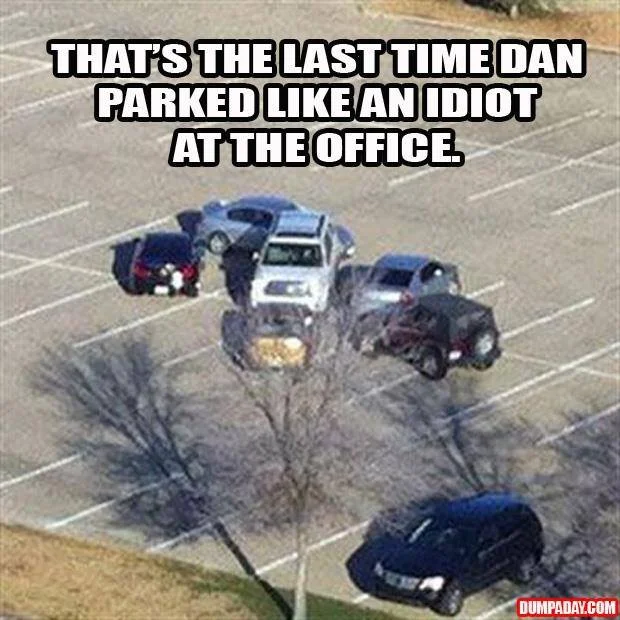 parking Idiot.webp