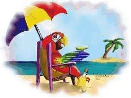 parrot.webp