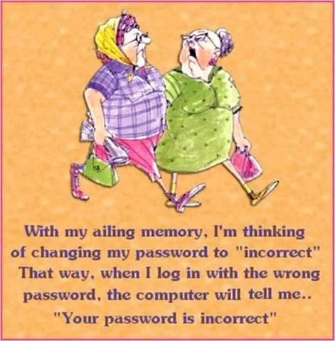 Password is incorrect.webp