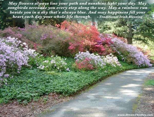 path-flowers.webp