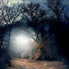 path2.webp