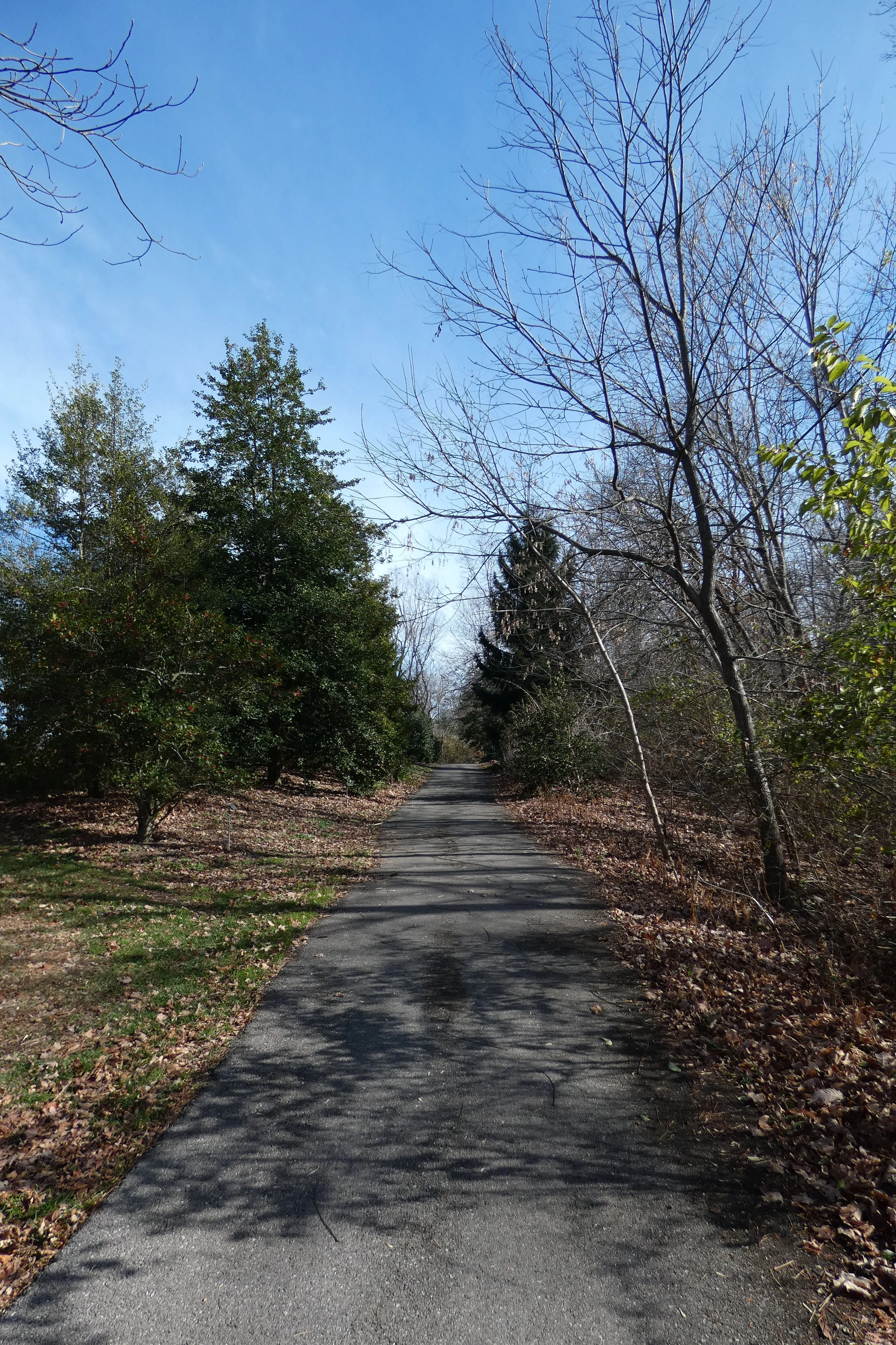 paved path at BCA.webp