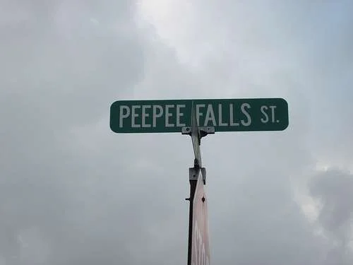 pee pee falls street.webp